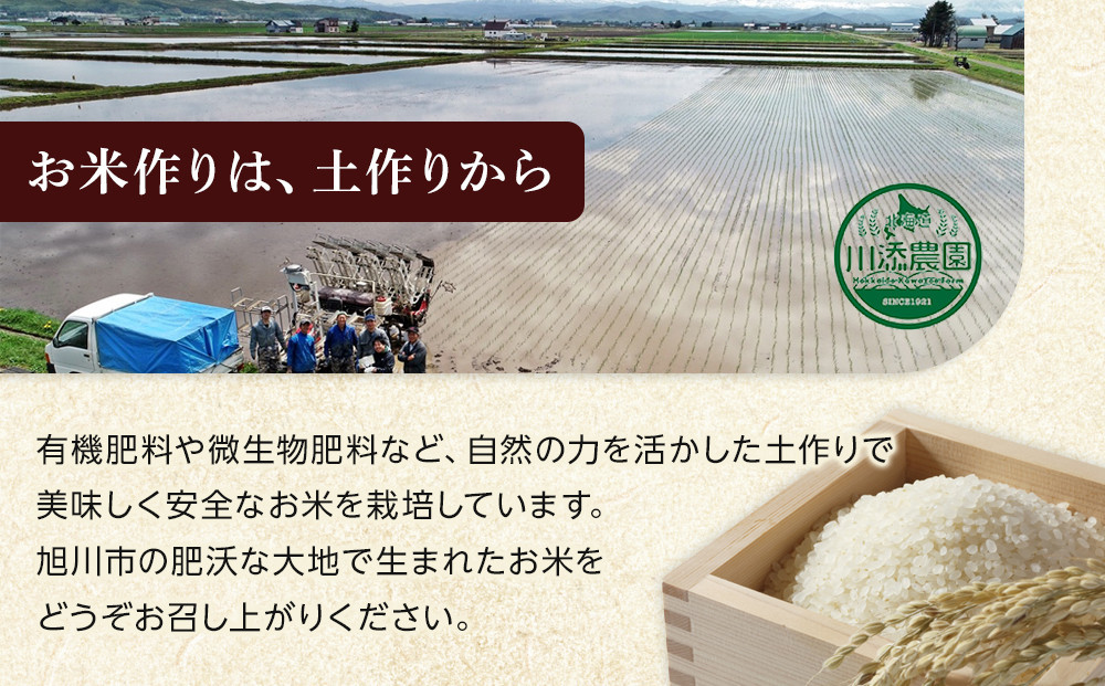令和7年産 ゆめぴりか 無洗米 真空パック 5kg×4個（合計20kg）_02166