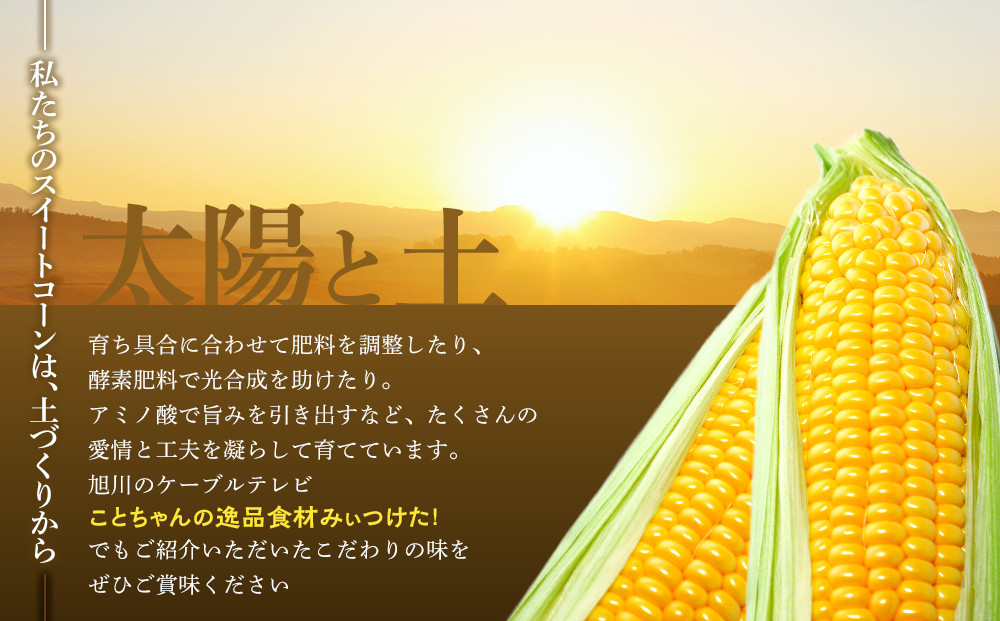地元テレビで紹介!【先行予約】糖度18～19度! 北海道旭川産スイートコーン約5kg (2026年8月中旬発送開始予定) 【 とうもろこし コーン ゴールドラッシュ 野菜 旬 お取り寄せ 北海道 旭川市 】_05256