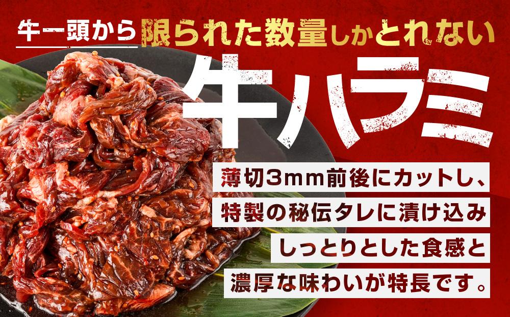 【2026年2月から発送開始】秘伝タレ漬け牛ハラミ(サガリ)薄切×1.4kg（タレ込み）【 牛肉 お肉 焼肉 焼き肉 やきにく タレ 漬け 付き 味付き にく 小分け 個包装 冷凍 セット BBQ アウトドア キャンプ 人気 大容量 大量 北海道 詰め合わせ 詰合せ 簡単調理 焼くだけ ハラミ 牛ハラミ お取り寄せ 旭川市 北海道 】_04285