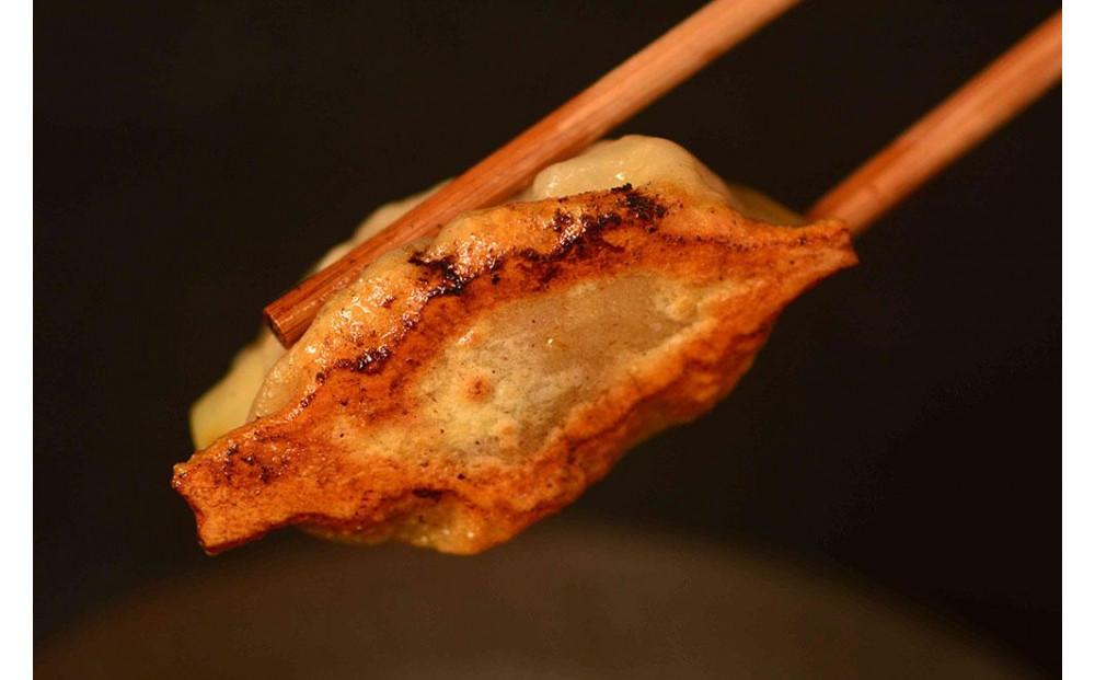 【ANA限定】【地元雑誌で紹介】【皮から手づくり】北海道 餃子皮命　ノーマル餃子[18個入×2袋] 【 餃子 ぎょうざ 冷凍餃子 加工品 冷凍 簡単調理 おつまみ つまみ 食品 グルメ お取り寄せ お取り寄せグルメ 旭川市 北海道 】_04726