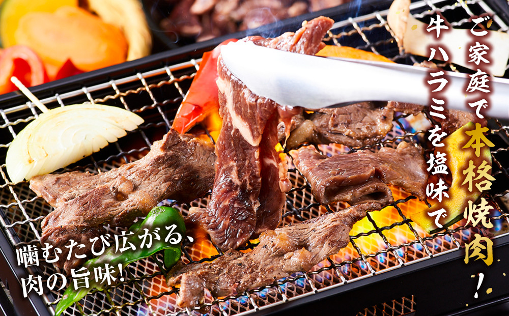 牛ハラミ約1kg(350g×3)（本格塩味）【 牛肉 お肉 焼肉 焼き肉 やきにく タレ 漬け 付き 味付き にく 小分け 個包装 冷凍 セット BBQ アウトドア キャンプ 人気 大容量 大量 北海道 簡単調理 焼くだけ ハラミ 牛ハラミ お取り寄せ 旭川市 北海道 】_5076