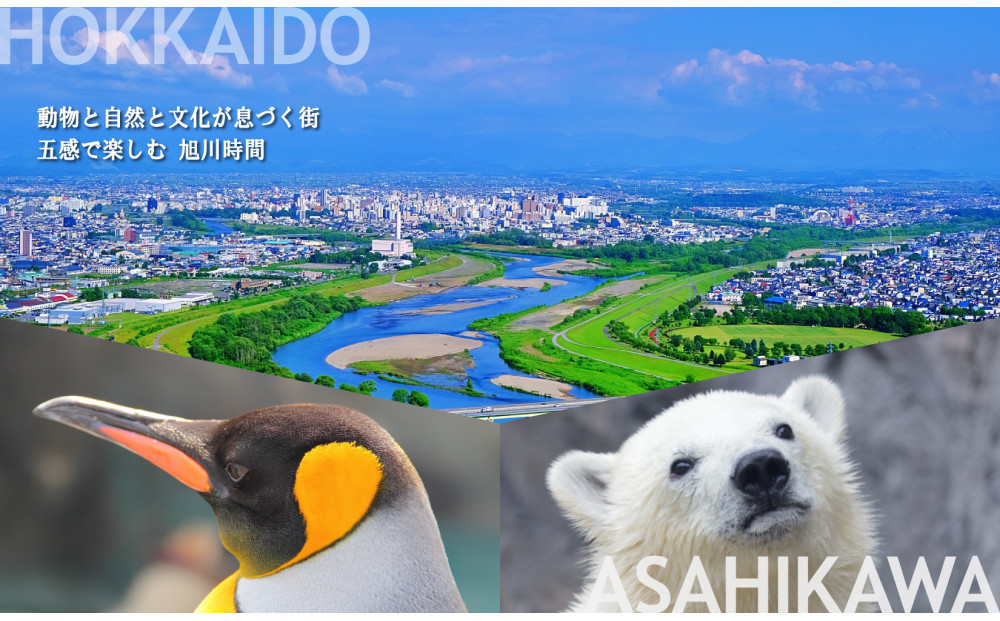 【北海道ツアー】旭川市 後から選べる旅行Webカタログで使える！旅行クーポン 30万円分【 旅 旅行 トラベル 予約 国内旅行 宿泊 観光 体験 旅行券 宿泊券 旅行予約 ホテル 旅館 チケット 子供 子連れ カップル 家族 人気 おすすめ 旅行クーポン 有効期間2年 】_04886