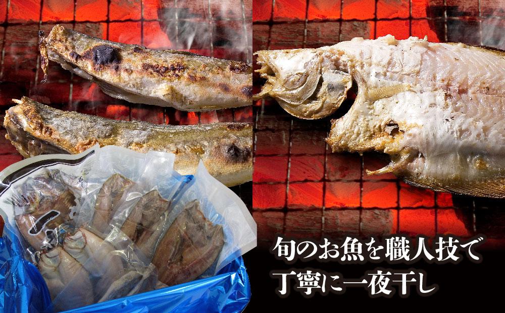 北海道の厳選一夜干しセット