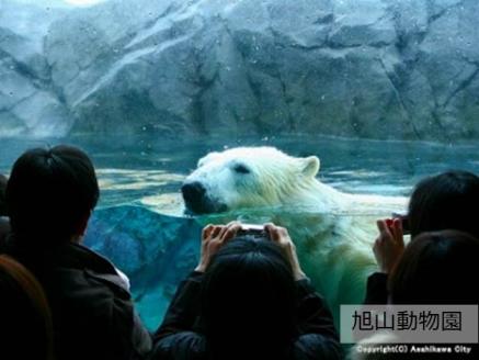 北海道旭川市ＡＮＡトラベラーズホテル割引クーポン（30,000点）