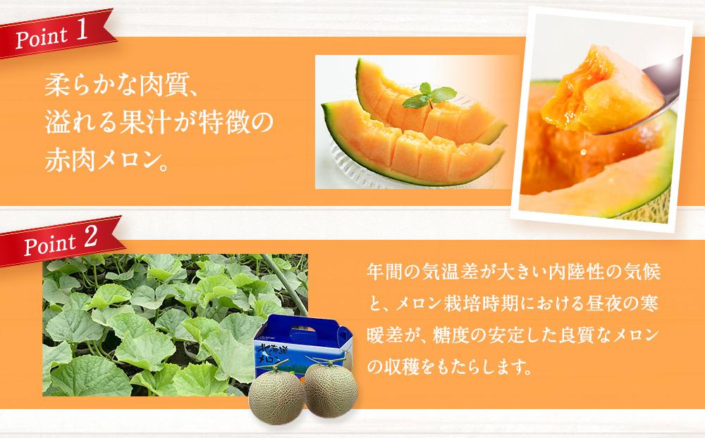 【26年発送先行予約】北海道「赤肉メロン」L玉×2個 (2026年7月発送開始予定) 【 果物 くだもの フルーツ メロン 赤肉 赤肉メロン 旬 お取り寄せ 甘い 北海道産 旭川市 北海道 】_00112