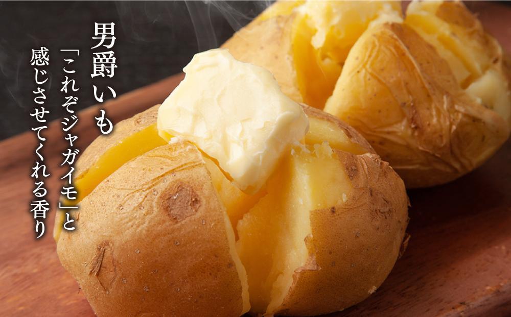 【26年先行予約】秋の味覚　男爵いも・玉ねぎ・かぼちゃ1玉　合計8kg（2026年10月上旬から発送予定）【 じゃがいも 芋 玉葱 野菜 産地直送 旬 お取り寄せ 詰め合わせ 旭川市 北海道 】 _04757