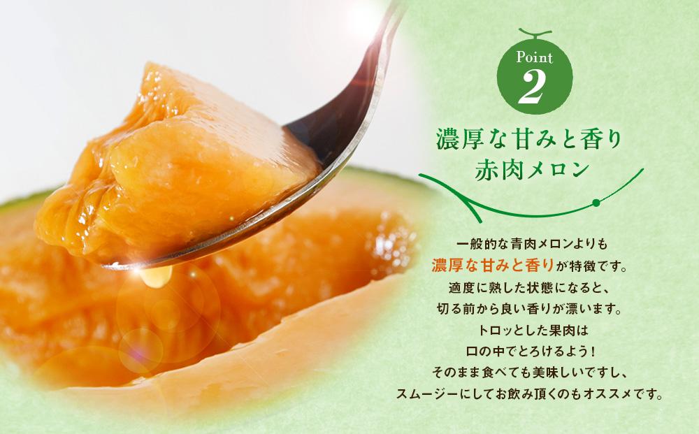 【26年発送先行予約】旭川発！北海道の赤肉メロン8kg（4～6玉）2026年7月上旬から発送開始予定 【 果物 くだもの フルーツ メロン 赤肉 赤肉メロン 旬 お取り寄せ 甘い 北海道産 旭川市 北海道 】_01103