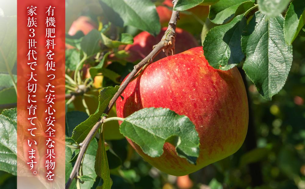 【先行予約】近澤果樹園 りんご「早生ふじ」5kg（2025年10月下旬より発送予定）【 果物 くだもの フルーツ デザート 旬 お取り寄せ 甘い 北海道産 人気 ランキング 北海道 旭川市 産地直送 送料無料 】_01178