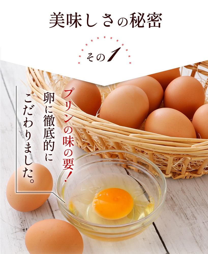 【テレビで紹介】1949年創業の卵屋が作ったプリン「とりこぷりん」_01948