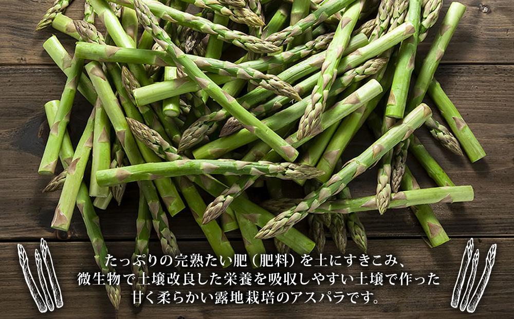【2026年先行予約】朝採りアスパラ Lサイズ 1kg（500g×2）鮮度保持パック入り 旭川近郊産 露地物(5月中旬発送開始予定) 【 アスパラ アスパラガス 朝採り とれたて 野菜 旬 小分け 保存 産直 産地直送 お取り寄せ 旭川市 北海道 】_01590