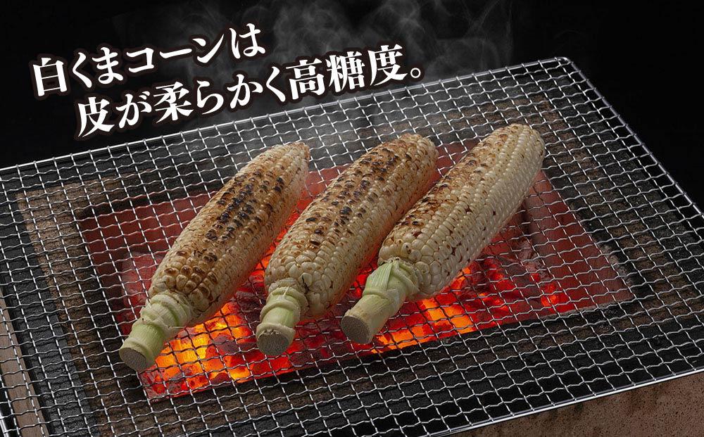 【26年発送先行予約】象もろこし（白くまコーン）大きいサイズのトウモロコシ 450g以上 8本入り (2026年8月下旬から発送開始予定) 【 とうもろこし 人気 北海道 糖度 野菜 白いとうもろこし 白いスイートコーン 産地直送 ホワイトレディ コーン 玉蜀黍 旬 お取り寄せ 旭川市 北海道 】_01413