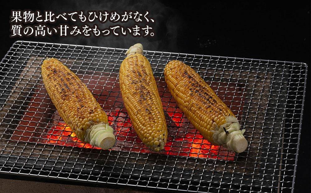 【26年発送先行予約】象もろこし（ライオンコーン）大きいサイズのトウモロコシ 480g以上 8本入り (2026年8月下旬～発送開始予定) 【 とうもろこし 人気 北海道 糖度 野菜 スイートコーン 産地直送 ゴールドラッシュ コーン 旬 お取り寄せ 旭川市 北海道 】_01412