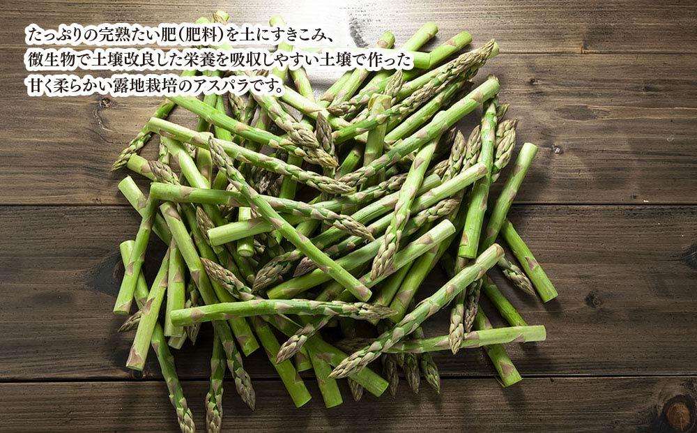 【2026年先行予約】朝採りアスパラ Lサイズ 2kg（500g×4）鮮度保持パック入り 旭川近郊産 露地物(5月中旬発送開始予定) 【 アスパラ アスパラガス 朝採り とれたて 野菜 旬 小分け 保存 産直 産地直送 お取り寄せ 旭川市 北海道 送料無料 】_01591