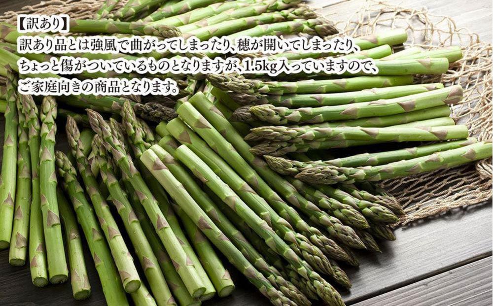 ◆2026年先行予約◆【訳あり】露地物朝採りアスパラ 1.5kg（500g×3）鮮度保持フィルム入り(5月中旬発送開始予定) 【 アスパラ アスパラガス 朝採り とれたて 野菜 旬 小分け 保存 産直 産地直送 お取り寄せ 旭川市 北海道 】_01589