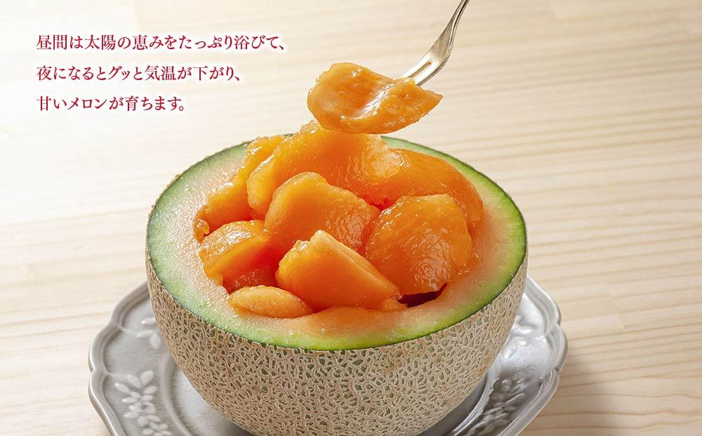 【26年発送先行予約】北海道産赤肉メロン　2玉入り　合計2.6kg前後（2026年7月中旬から発送開始予定）【 果物 くだもの フルーツ メロン 赤肉 赤肉メロン 旬 お取り寄せ 甘い 北海道産 旭川市 北海道 】_01586