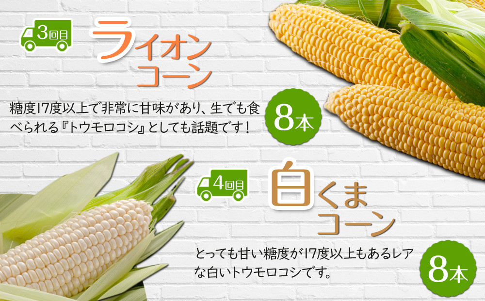 【26年5月発送開始】かに太郎 定期便Gセット（アスパラ、赤肉メロン、ライオンコーン、白くまコーン、無添加鮭イクラ醤油漬け）全5回 _03820