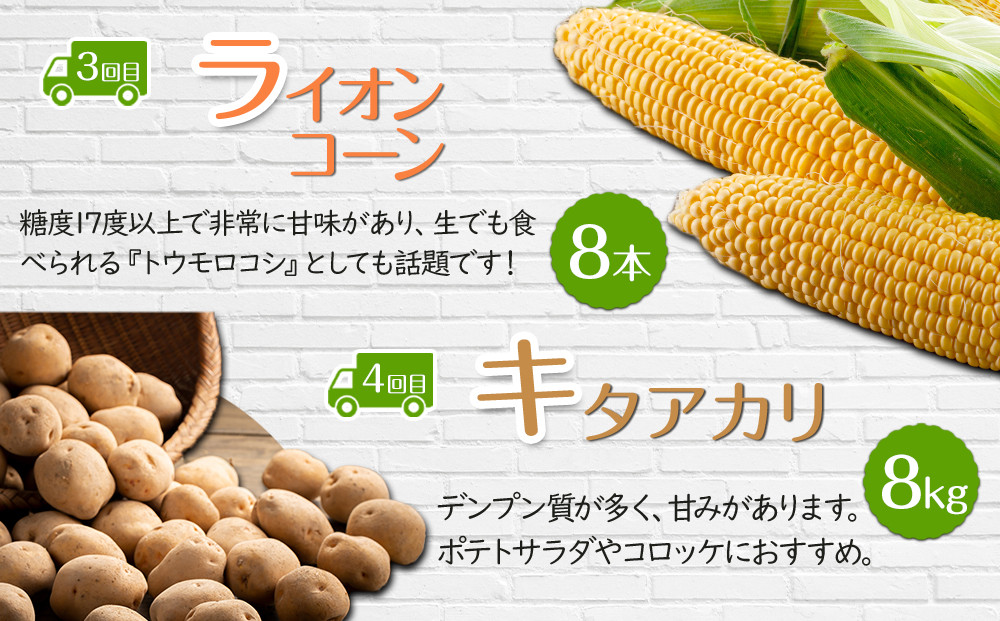 【26年5月発送開始】かに太郎 定期便Hセット（アスパラ、赤肉メロン、ライオンコーン、キタアカリ、無添加鮭イクラ醤油漬け）全5回 _03821