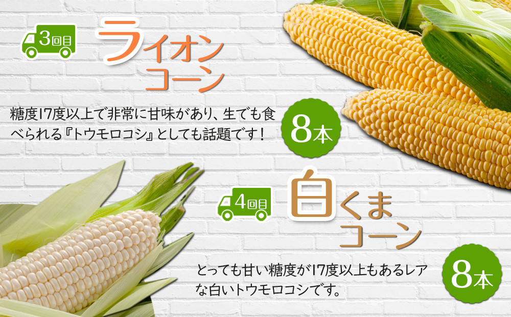 【26年5月発送開始】かに太郎 定期便Mセット（アスパラ、赤肉メロン、ライオンコーン、白くまコーン、男爵、無添加鮭イクラ醤油漬け）全6回 _03826