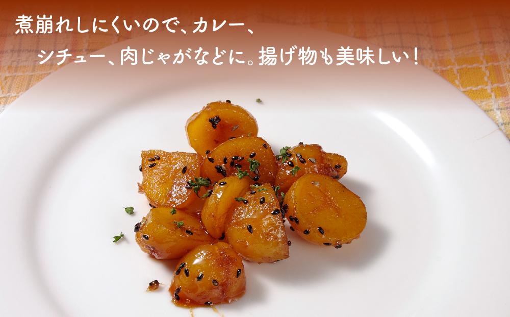 北海道産じゃがいも（インカのめざめ）4kg（2025年11月下旬頃発送開始予定）【 インカの目覚め じゃがいも ジャガイモ いも 芋 ポテト 旭川 北海道 野菜 】_00417