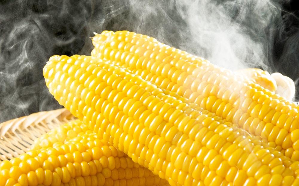 とうもろこしコラボセット!　ピュアホワイト5本×ゴールドラッシュ5本（2025年8月下旬より発送予定）【 白いとうもろこし 人気 北海道産 糖度 生 野菜 スイートコーン 産地直送 バーベキュー BBQ コーン 旬 お取り寄せ 旭川市 北海道 】_03648