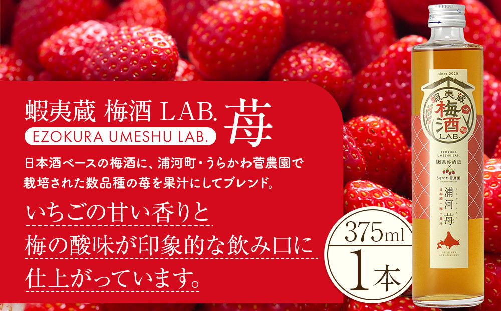 【日本酒ベースの果汁梅酒】 蝦夷蔵 梅酒 LAB.セット（苺・林檎・葡萄）