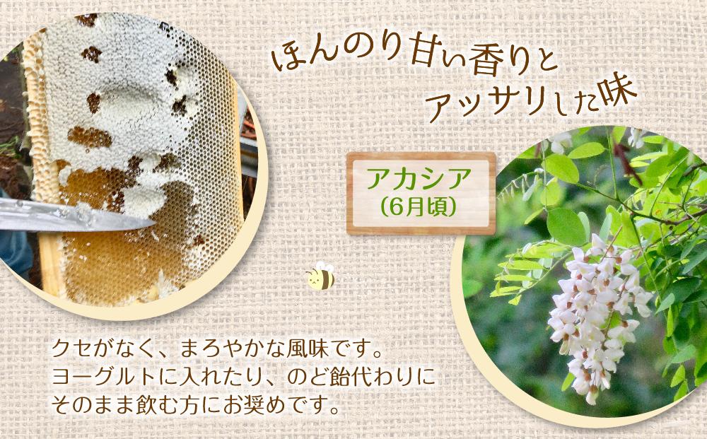 【スティック蜂蜜】アカシア 2.5g×100本入_00512