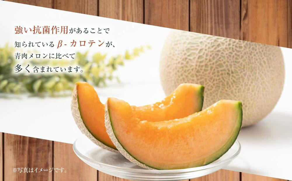 【先行予約】 北海道産青肉メロン約1.6kg×2玉 (2026年7月中旬から発送予定)【 果物 くだもの フルーツ メロン 青肉 青肉メロン 旬 お取り寄せ 甘い 北海道産 旭川市 北海道 】_05291