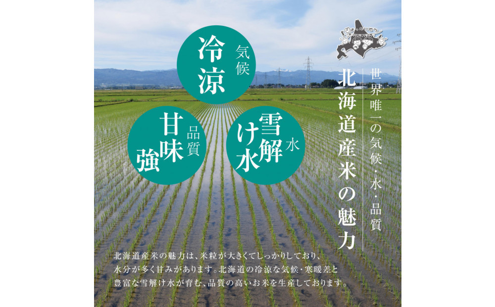 令和7年産 北海道ブレンド米 (5kg) 【 白米 精米 ご飯 ごはん 米  お米 旭川市ふるさと納税 北海道ふるさと納税 】 _05313