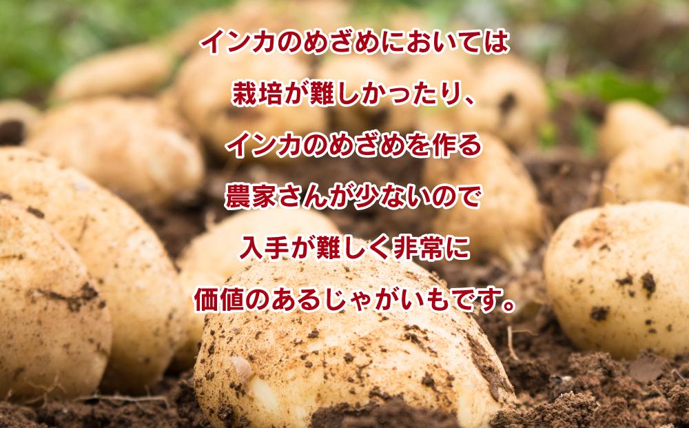 インカのめざめ_01016