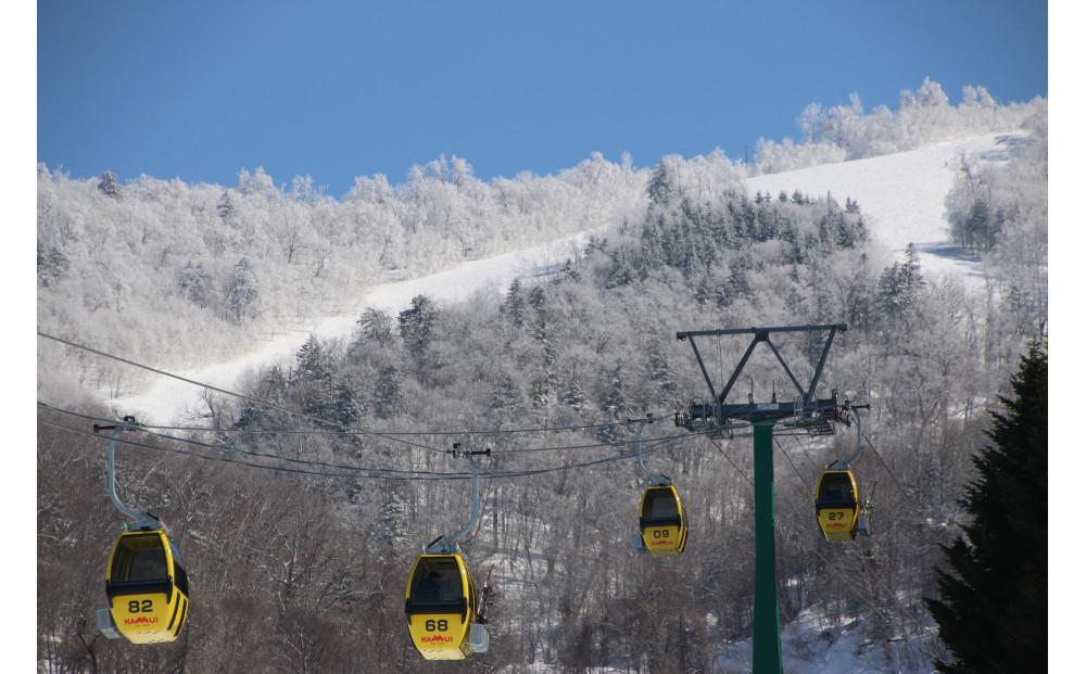 カムイスキーリンクス：シニア1日券 (お一人様分) 非売品特製キーホルダー付き _01320