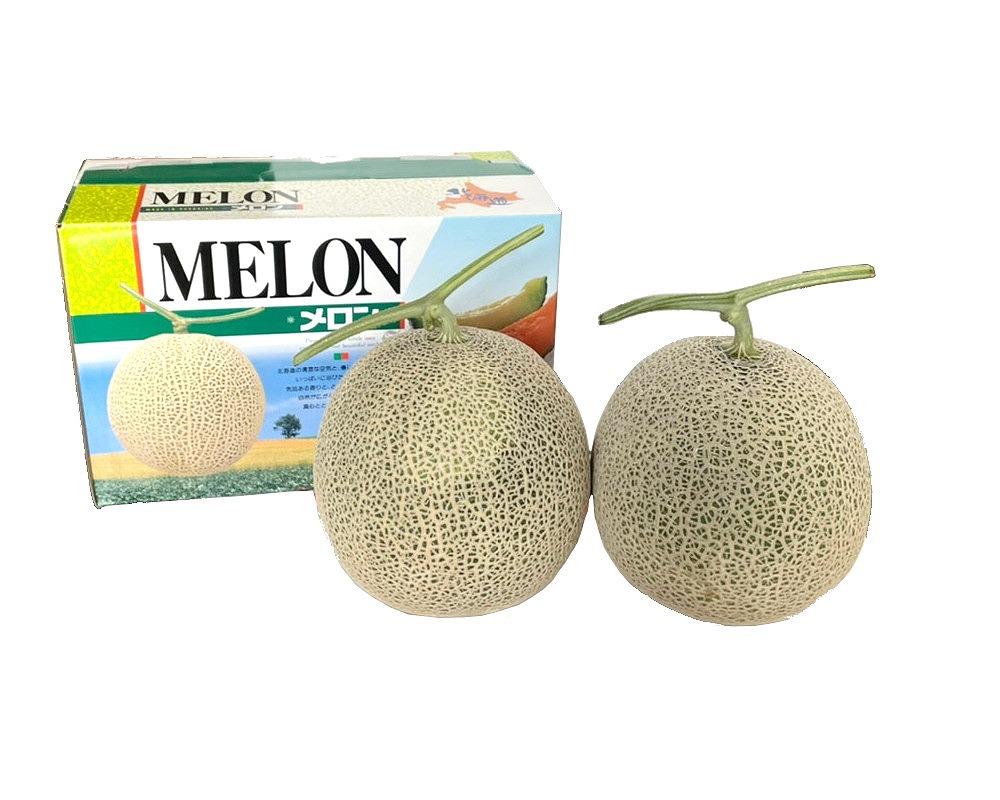 あさひかわ赤肉メロン2玉【1玉1.6kg以上2.0kg未満のサイズ】北海道旭川産(2024年7月中旬発送開始予定)_01946