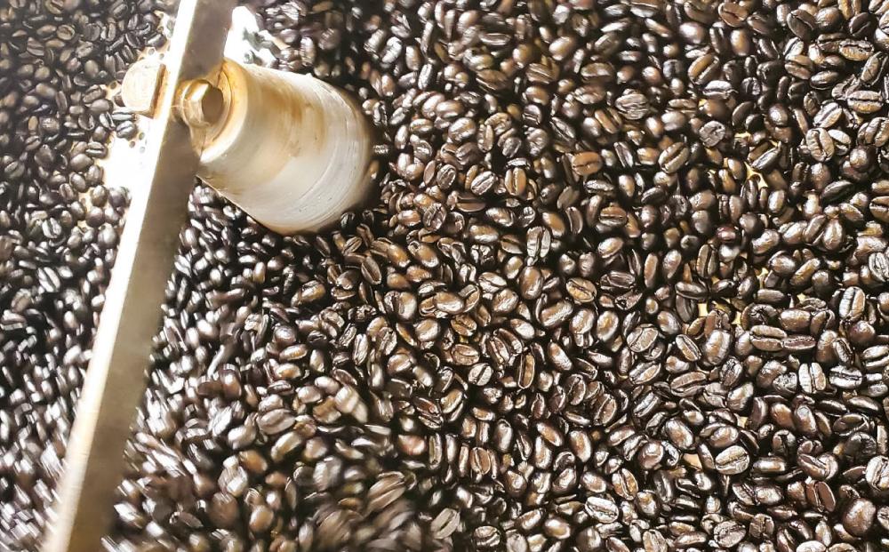 【豆】浅煎＆中煎　100ｇ×10袋　北海道旭川焙煎　ワイズコーヒー西神楽焙煎工場直送_02945