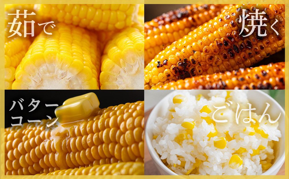 地元テレビで紹介!【先行予約】糖度18～19度! 北海道旭川産スイートコーン約5kg (2026年8月中旬発送開始予定) 【 とうもろこし コーン ゴールドラッシュ 野菜 旬 お取り寄せ 北海道 旭川市 】_05256