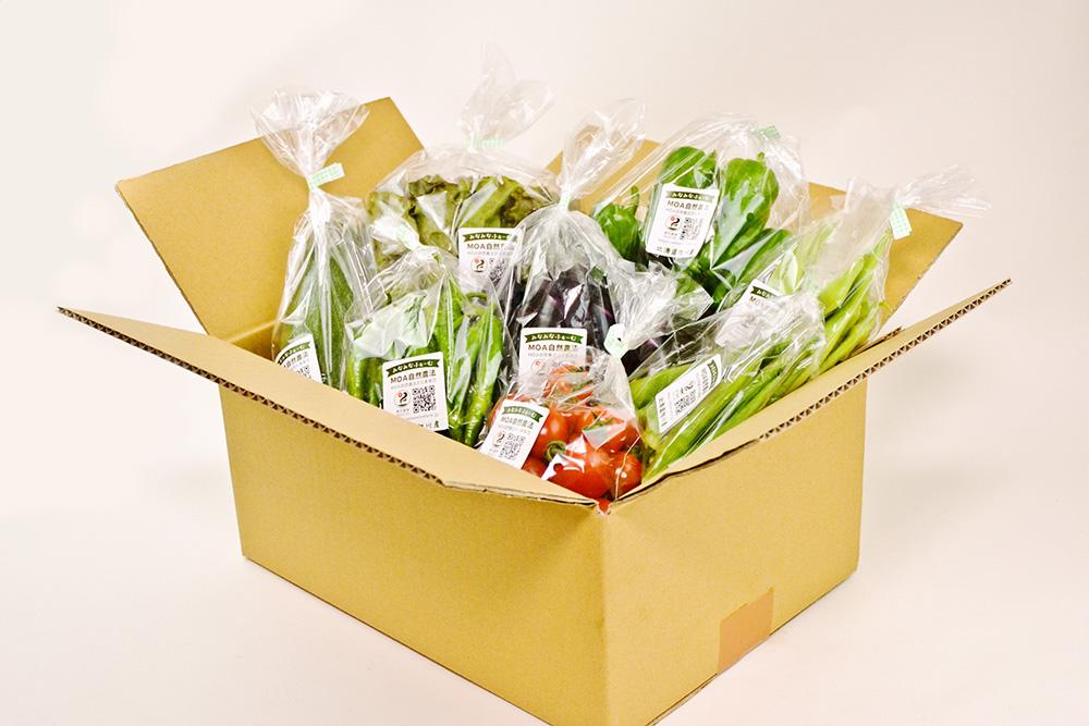 【2026先行予約】【地元雑誌で紹介】【北海道旭川産】旬の野菜詰め合わせ[7～10種類](栽培期間中農薬不使用・化学肥料不使用) 【 ズッキーニ なす トマト きゅうり ししとう なんばん オクラ カボチャ じゃがいも にんじん 北海道産 無農薬栽培 野菜セット 季節の野菜 新鮮 お取り寄せ 野菜ボックス 安全 安心 野菜直送 人気 旭川市 】_02944