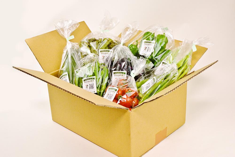 【2026年先行予約】7・8・9・10月　計4回定期便　北海道産旬の無農薬栽培　野菜の詰め合わせ7～10種類 【 サニーレタス 水菜 チンゲンサイ さやえんどう スナップエンドウ さやいんげん ささぎ豆 春大根 ズッキーニ なす トマト きゅうり ししとう なんばん オクラ カボチャ じゃがいも にんじん 北海道産 無農薬栽培 野菜セット 季節の野菜 新鮮 お取り寄せ 野菜ボックス 安全 安心 野菜直送 人気 旭川市 】_04702