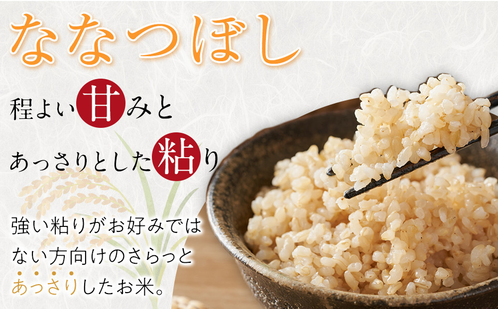 【定期便】特別栽培米ななつぼし玄米5kg 令和7年産 3ヶ月毎月発送（2026年2月から発送開始予定）【 新米 ご飯 ごはん 米  お米 旭川市ふるさと納税 北海道ふるさと納税 】 _05393