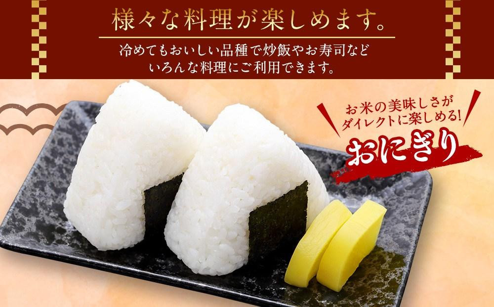 【2026年3月発送】令和7年産 特Ａランク 無洗米 旭川産 ななつぼし 7.5kg（3.75kg×2）フレッシュ真空パック 【 白米 精米 ご飯 ごはん 米 お米 ななつぼし 旭川産 旬 旭川市ふるさと納税 北海道ふるさと納税 特A ふるさと納税 旭川市 北海道 真空パック 保存 】_00403