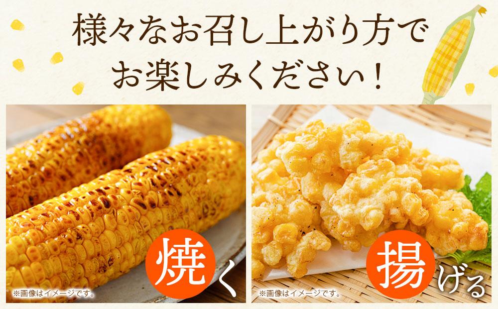 【26年先行予約】北海道産ピュアホワイト・露地とうもろこし　計12本 2026年8月中旬から発送開始予定 【 白いとうもろこし 人気 北海道産 糖度 生 野菜 スイートコーン 産地直送 バーベキュー BBQ コーン 旬 お取り寄せ 旭川市 北海道 】_00113