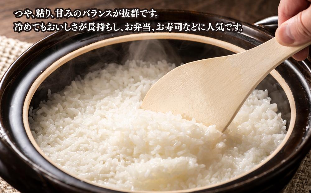 【令和7年産】旭川 ななつぼし 米 10kg(1kg×10) _01456