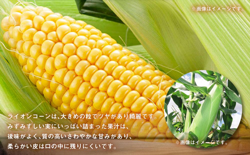 【26年発送先行予約】あさひやま動物園ライオンコーン約4kg(ゴールドラッシュ10本)2026年8月下旬から発送開始予定 【 とうもろこし 人気 北海道 糖度 野菜 スイートコーン 産地直送 ゴールドラッシュ コーン 旬 お取り寄せ 旭川市 北海道 】_00307