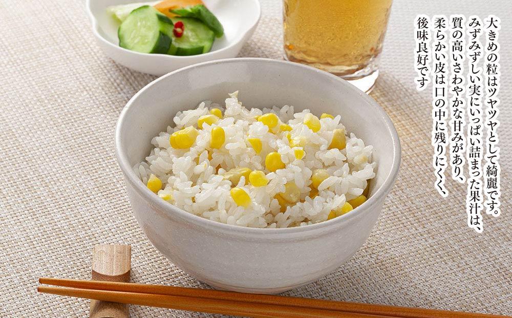 【26年発送先行予約】象もろこし（ライオンコーン）大きいサイズのトウモロコシ 480g以上 8本入り (2026年8月下旬～発送開始予定) 【 とうもろこし 人気 北海道 糖度 野菜 スイートコーン 産地直送 ゴールドラッシュ コーン 旬 お取り寄せ 旭川市 北海道 】_01412