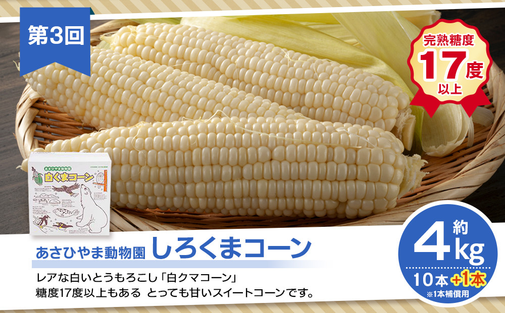 【26年7月発送開始】かに太郎 定期便Aセット（赤肉メロン、ライオンコーン、白くまコーン、無添加鮭イクラ醤油漬け）全4回 _01193