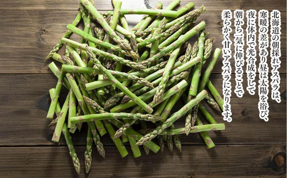 ◆2026年先行予約◆【訳あり】露地物朝採りアスパラ 1.5kg（500g×3）鮮度保持フィルム入り(5月中旬発送開始予定) 【 アスパラ アスパラガス 朝採り とれたて 野菜 旬 小分け 保存 産直 産地直送 お取り寄せ 旭川市 北海道 】_01589
