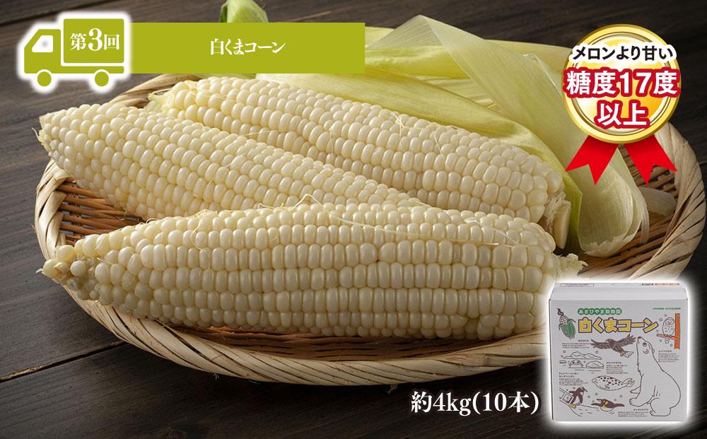 【26年5月発送開始】かに太郎 定期便Fセット（アスパラ、赤肉メロン、白くまコーン、厚切りラム肉）全4回 _01601