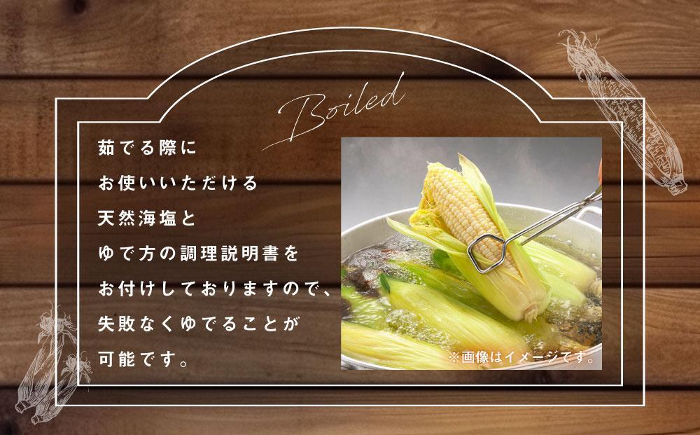 【26年発送先行予約】あさひやま動物園しろくまコーン 8本（約3.2kg）2026年8月下旬から発送開始予定 【 とうもろこし 人気 北海道 糖度 野菜 白いとうもろこし 白いスイートコーン 産地直送 ホワイトレディ コーン 玉蜀黍 旬 お取り寄せ 旭川市 北海道 】　_03811