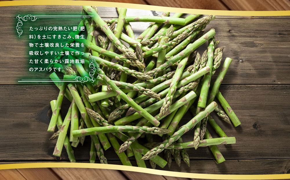 【2026年先行予約】露地物朝採りアスパラ　鮮度保持フィルム入り　2～3L　500g×2　合計1kg(5月中旬発送開始予定) 【 アスパラ アスパラガス 朝採り とれたて 野菜 旬 小分け 保存 産直 産地直送 お取り寄せ 旭川市 北海道 】_03817