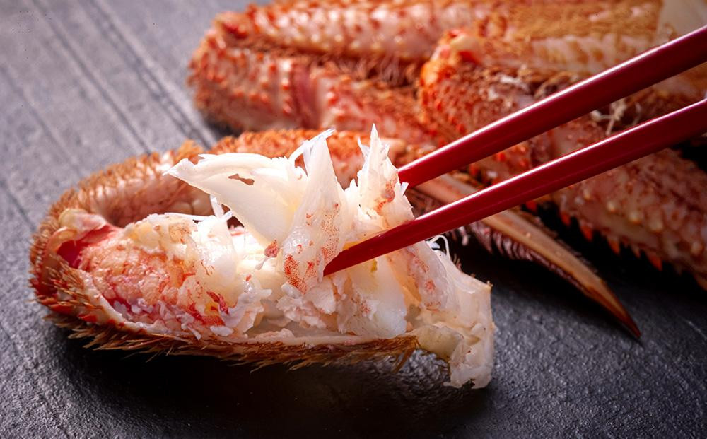 【先行予約】北海道オホーツク産海明け活毛ガニ　ボイル未冷凍配送(チルド 冷蔵配送)　600g前後　1尾（2026年3月下旬から発送予定）_05668