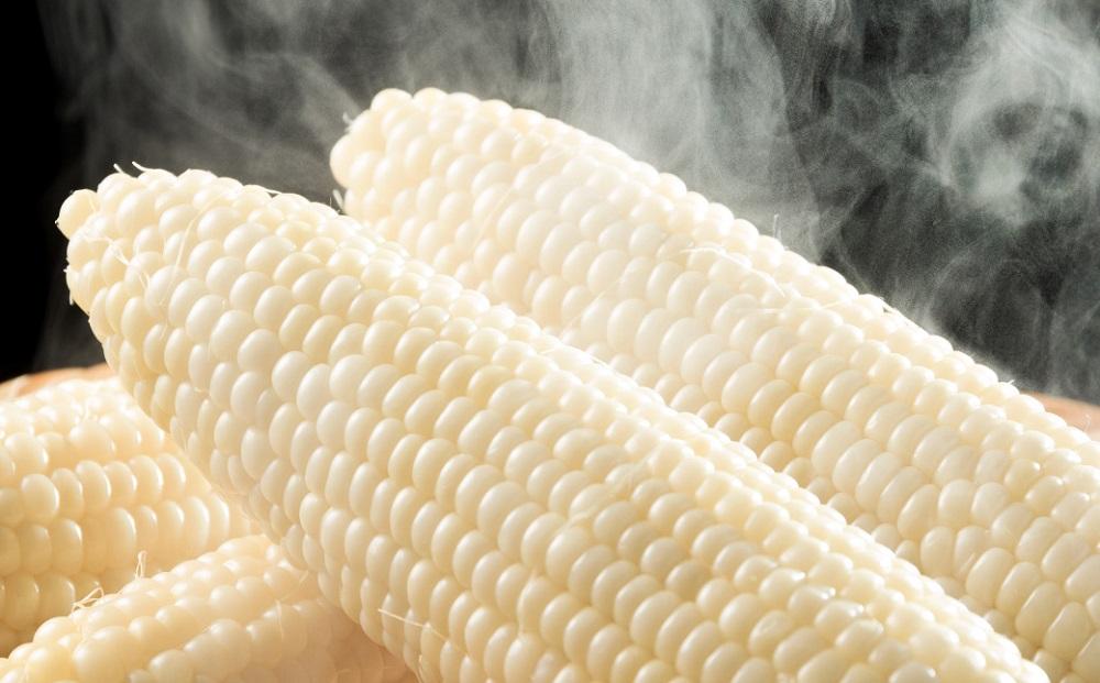 とうもろこしコラボセット!　ピュアホワイト5本×ゴールドラッシュ5本（2025年8月下旬より発送予定）【 白いとうもろこし 人気 北海道産 糖度 生 野菜 スイートコーン 産地直送 バーベキュー BBQ コーン 旬 お取り寄せ 旭川市 北海道 】_03648