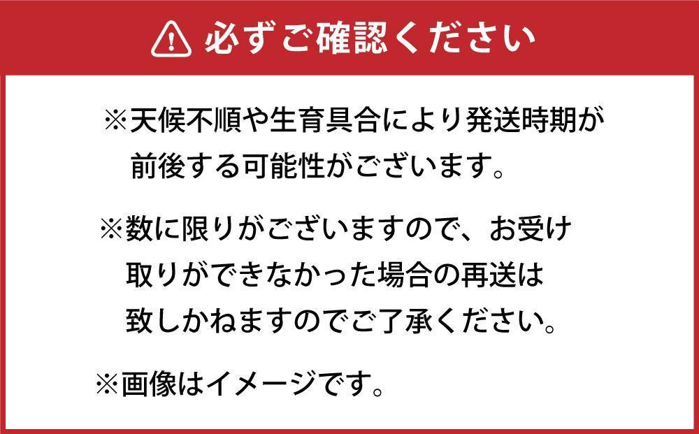 【先行予約】朝採り グリーンアスパラ L 1kg (2026年5月下旬発送開始) 【 アスパラ アスパラガス グリーンアスパラ 【先行予約】朝採り 直送 産地直送 旬 春 北海道 とれたて お取り寄せ 冷蔵配送 冷蔵 旭川市 】_03901