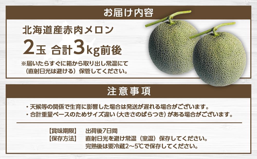 【先行予約】北海道産赤肉メロン合計3kg前後（2玉入）2026年7月中旬から順次発送予定【 果物 くだもの フルーツ 】_01979